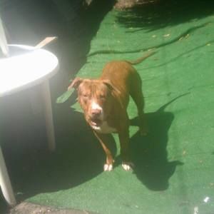 Meet your Posher, Derron